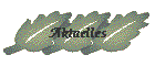 Aktuelles